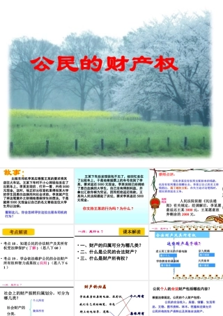 复习课公民的财产权-2