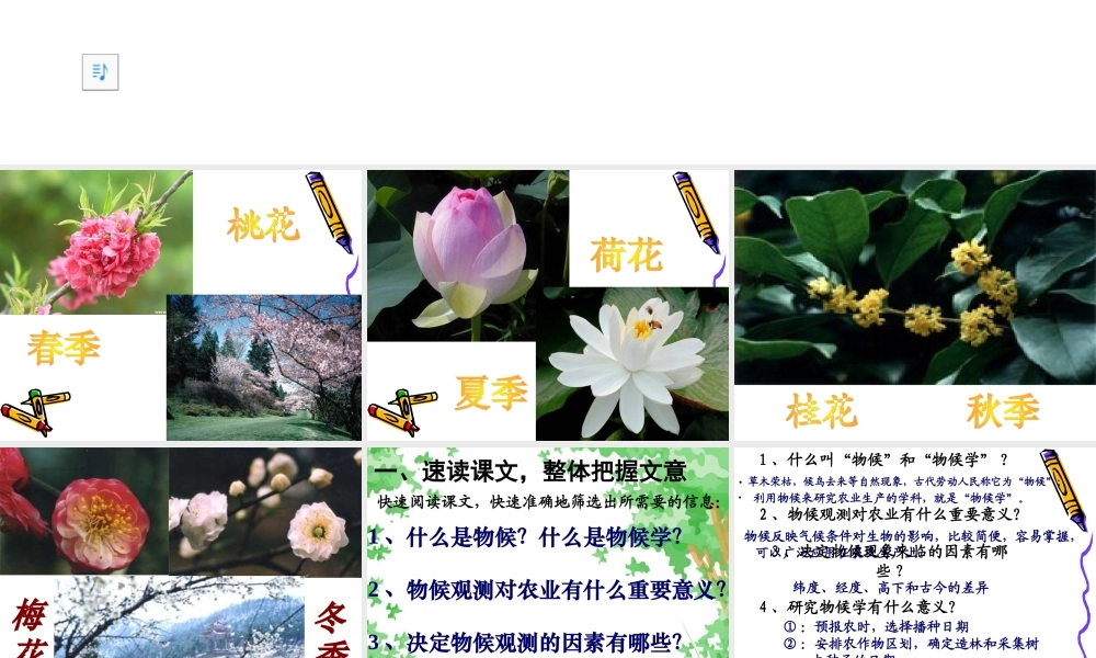 大自然的语言-(5)