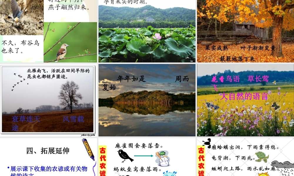 大自然的语言-(5)