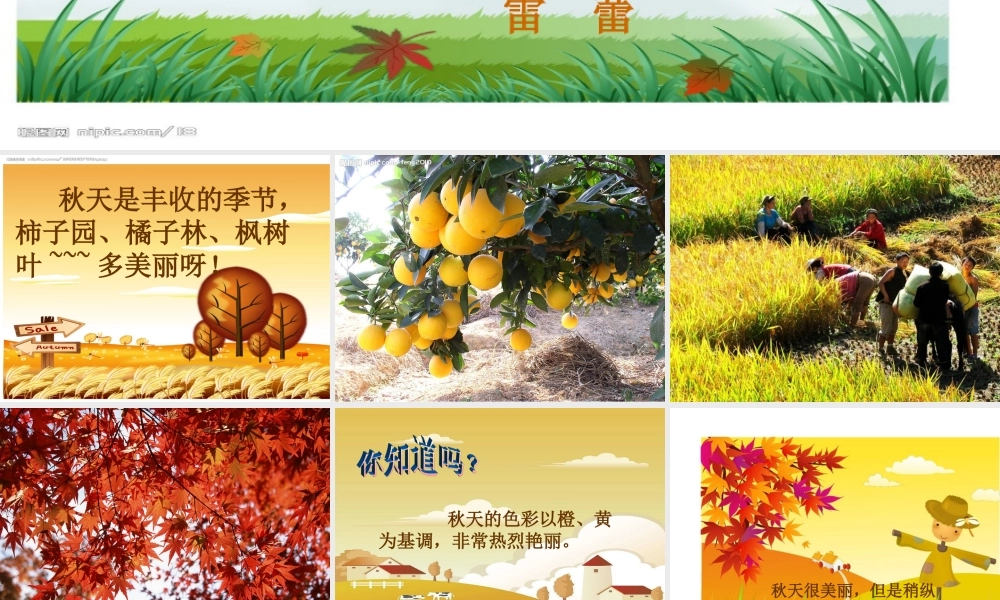 《留住秋天》课件