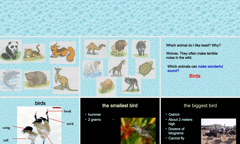 Unit6welcometotheunit