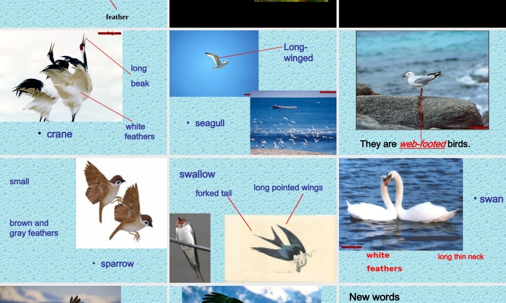 Unit6welcometotheunit