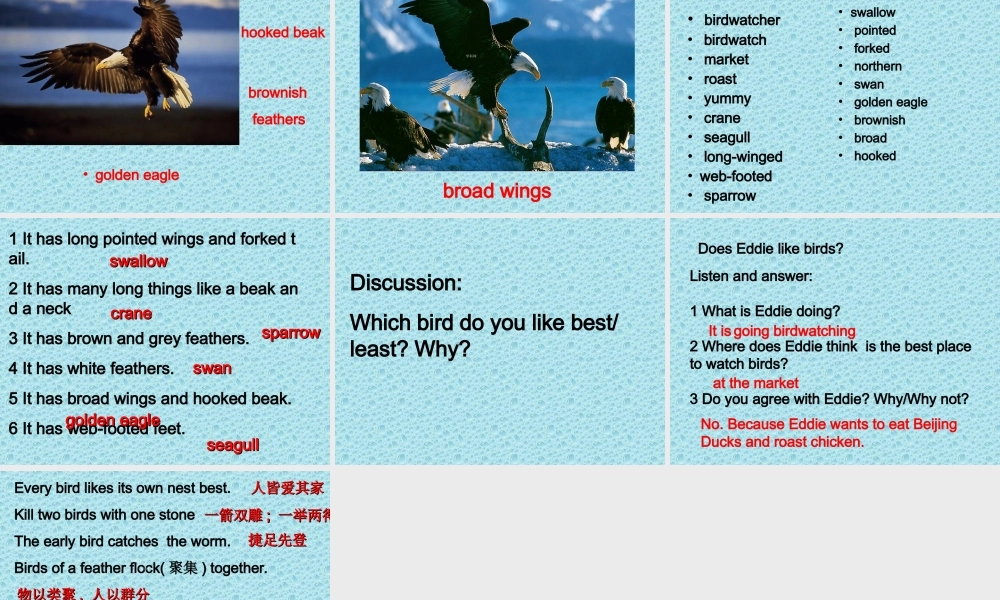 Unit6welcometotheunit