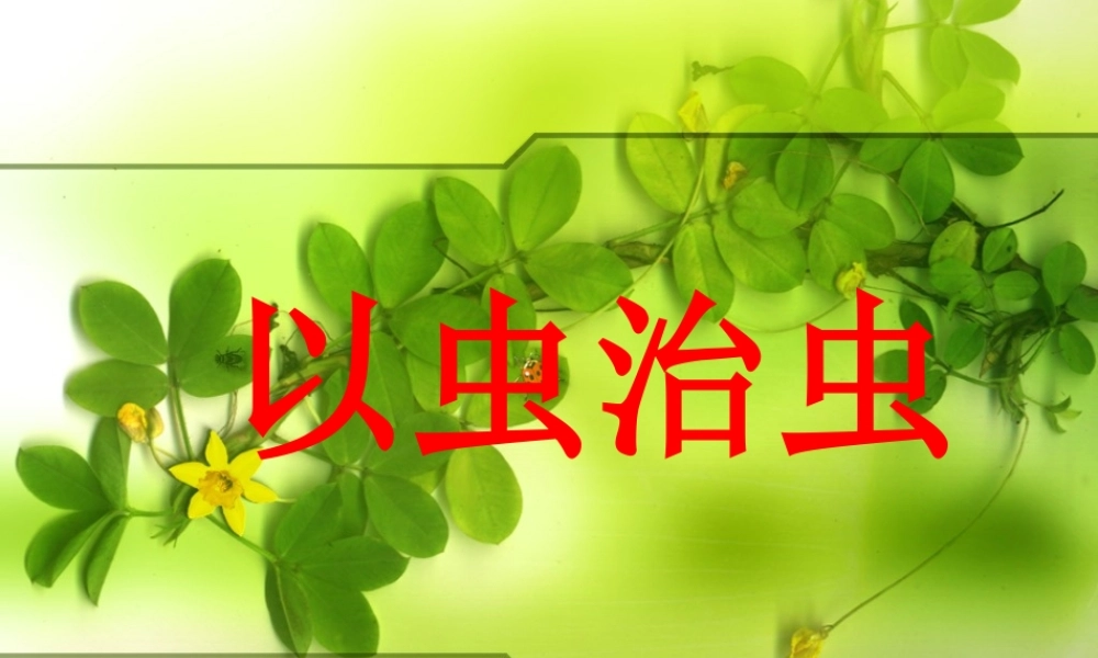 《以虫治虫》课件2