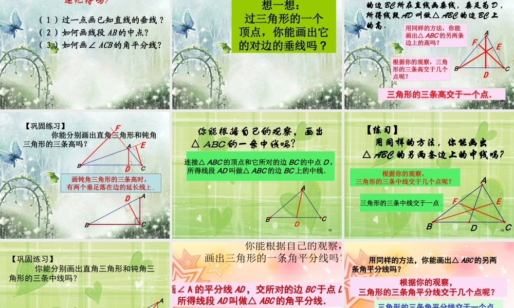 与三角形有关的线段ppt