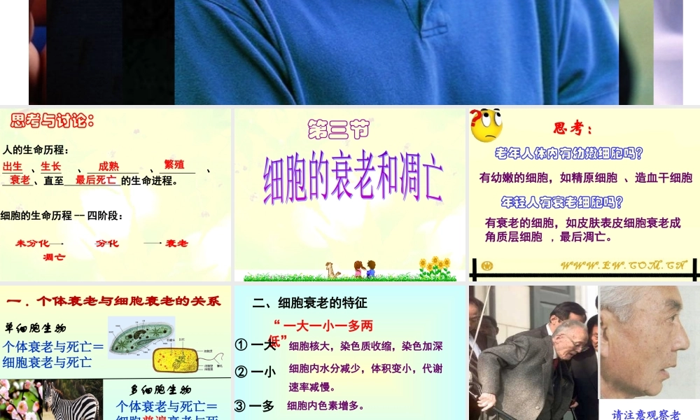 第三节细胞的衰老和凋亡