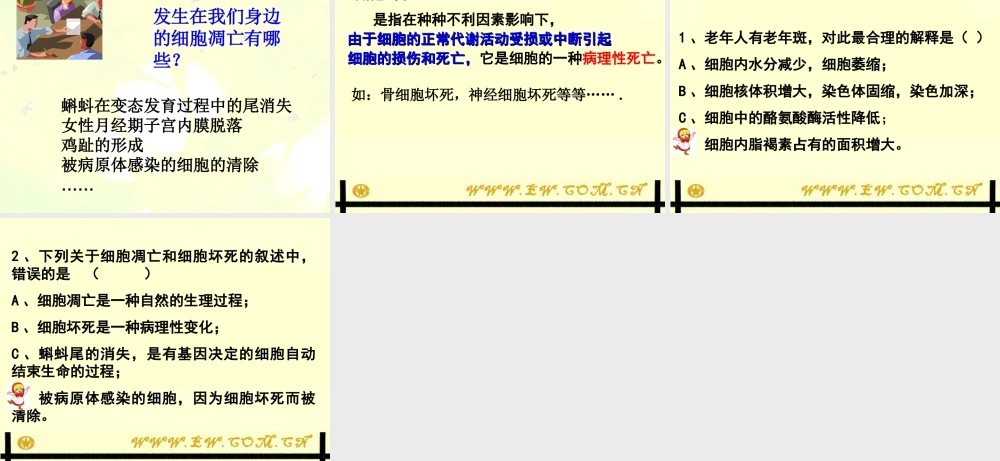 第三节细胞的衰老和凋亡