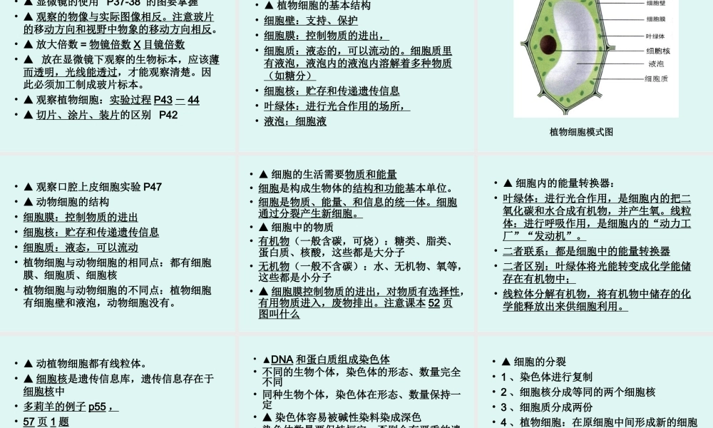 初一生物七年级生物七年级生物期末复习提纲课件(上册)2