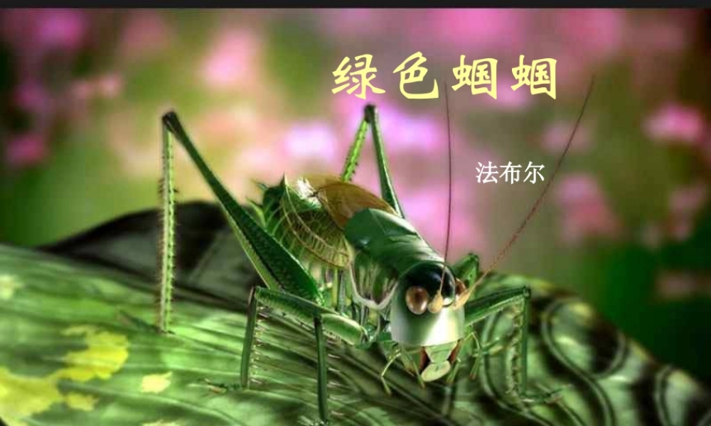 初一语文绿色蝈蝈[人教版]