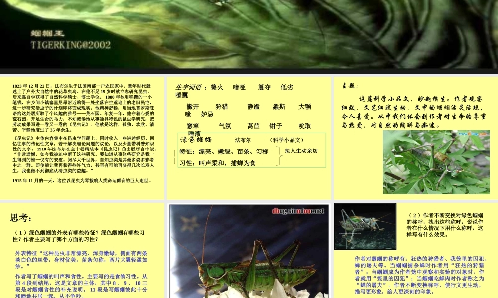 初一语文绿色蝈蝈[人教版]