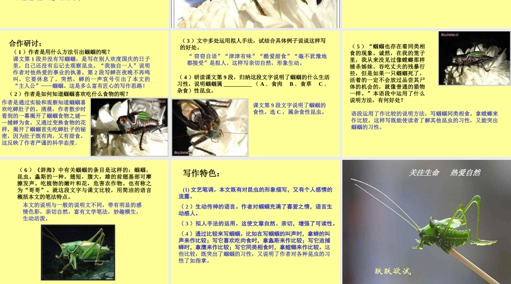 初一语文绿色蝈蝈[人教版]