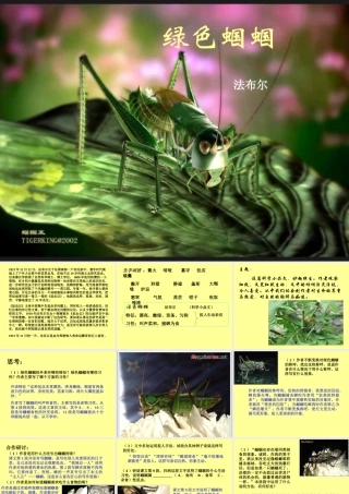 初一语文绿色蝈蝈[人教版]