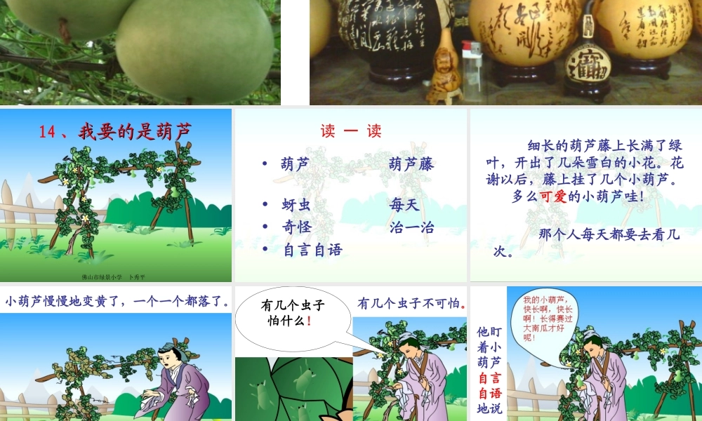 《我要的是葫芦》课件
