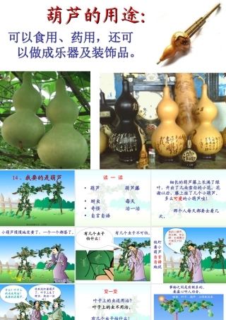 《我要的是葫芦》课件