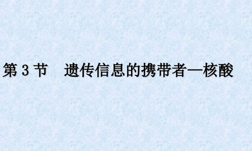 生物：2.3《遗传信息的携带者--核酸》课件(新人教必修1)