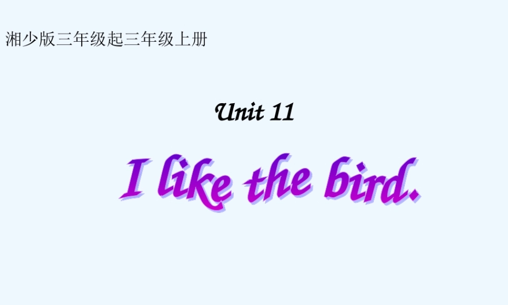 Unit-11--I-like-the-bird