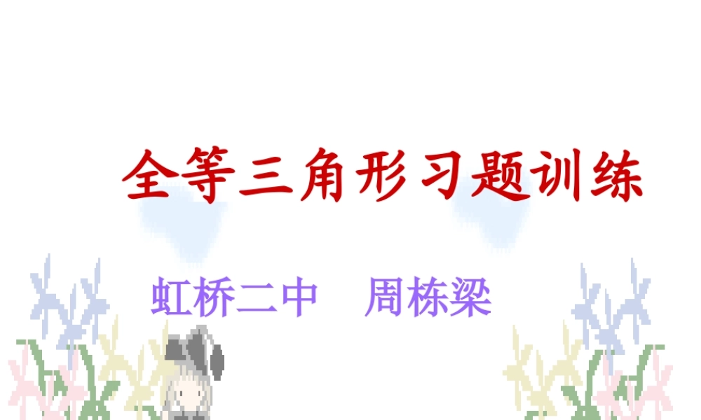 全等三角形习题训练课件