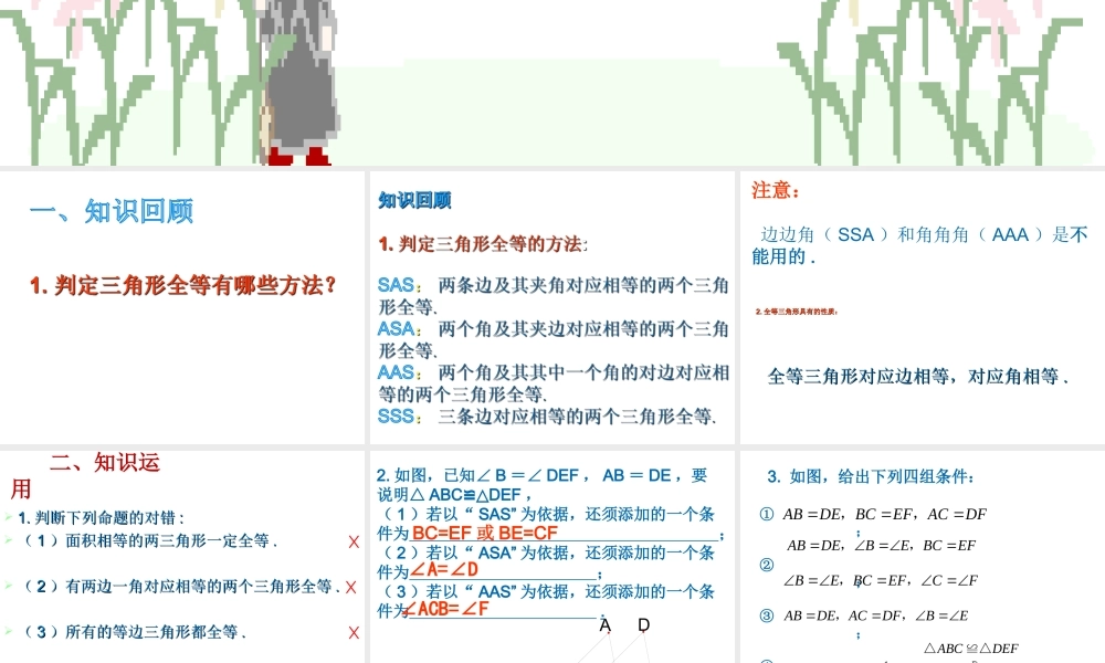 全等三角形习题训练课件