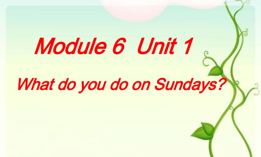 what-do-you-do-on-Sundays