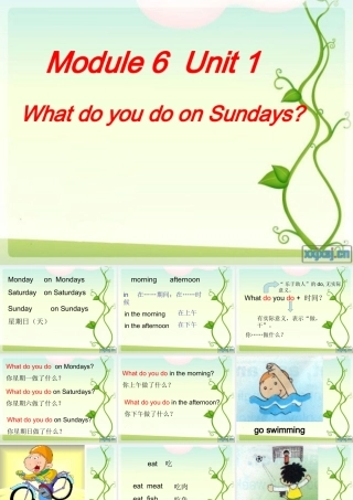 what-do-you-do-on-Sundays