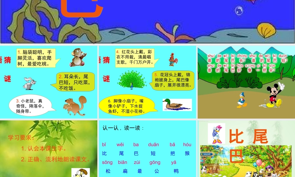 《比尾巴》教学课件2