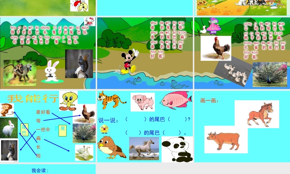 《比尾巴》教学课件2