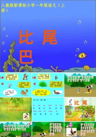 《比尾巴》教学课件2
