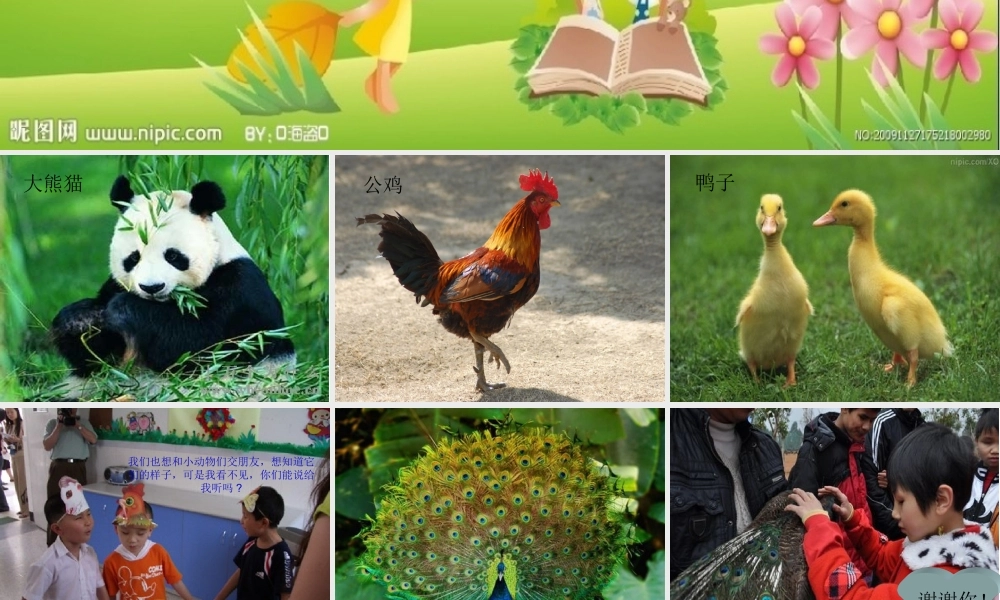 作文课(学写小动物)