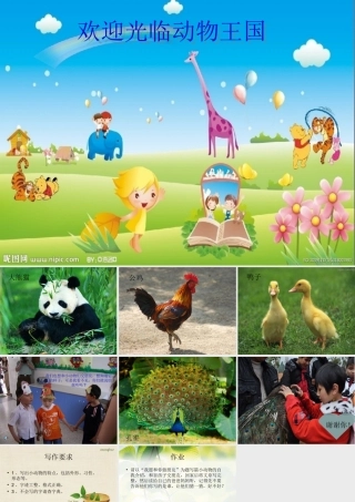 作文课(学写小动物)