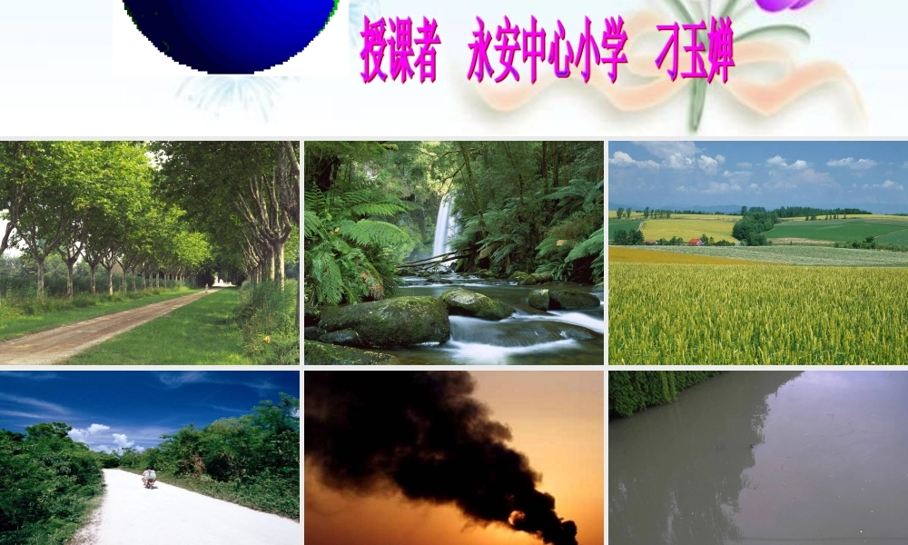 口语交际——珍惜资源(新)