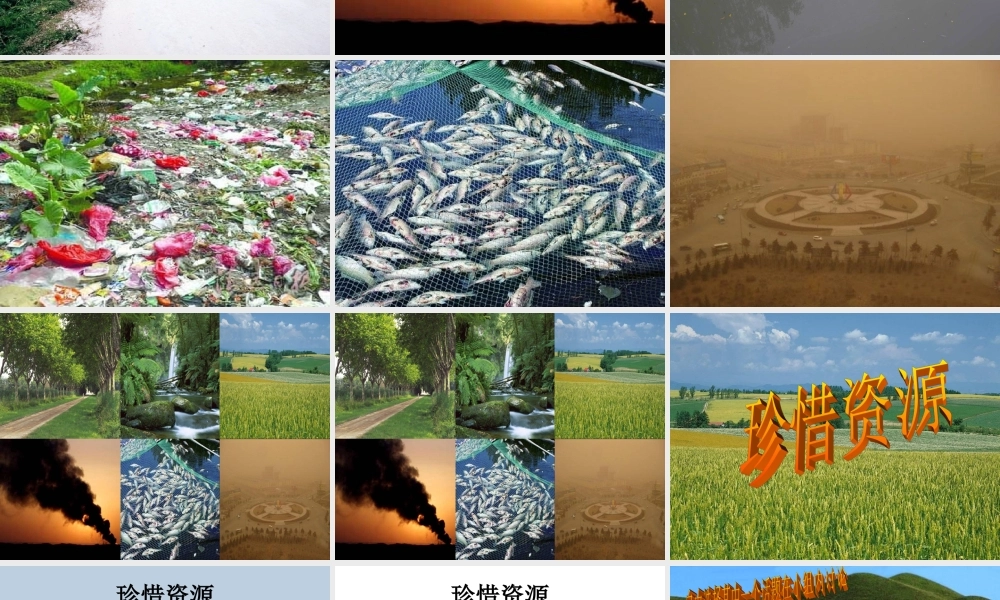 口语交际——珍惜资源(新)