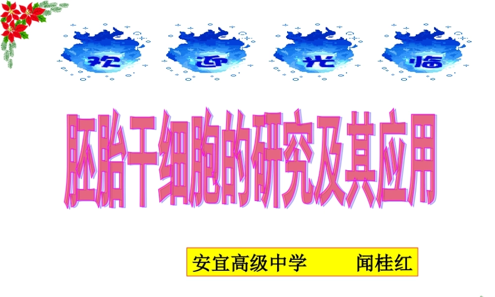 胚胎干细胞的应用