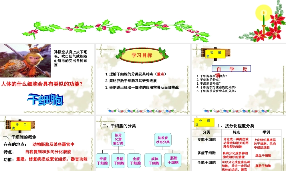 胚胎干细胞的应用