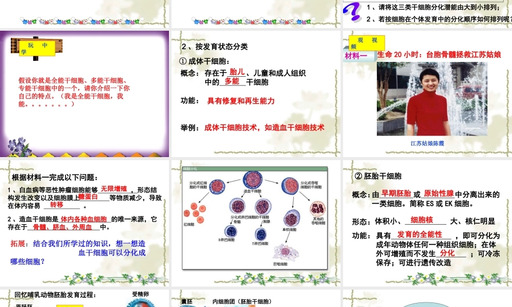 胚胎干细胞的应用