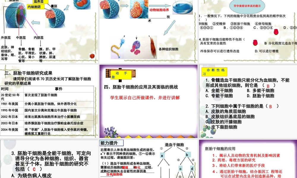 胚胎干细胞的应用