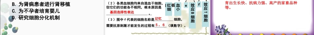 胚胎干细胞的应用