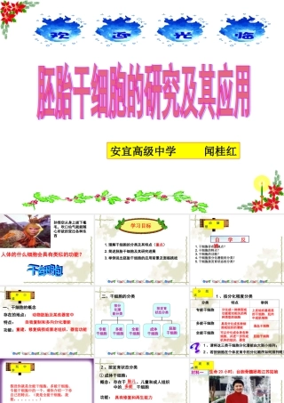 胚胎干细胞的应用