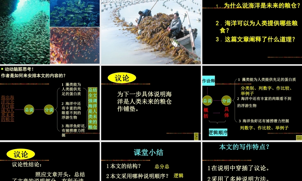 《海洋是未来的粮仓》课件1(29张PPT)(语文版八年级上)