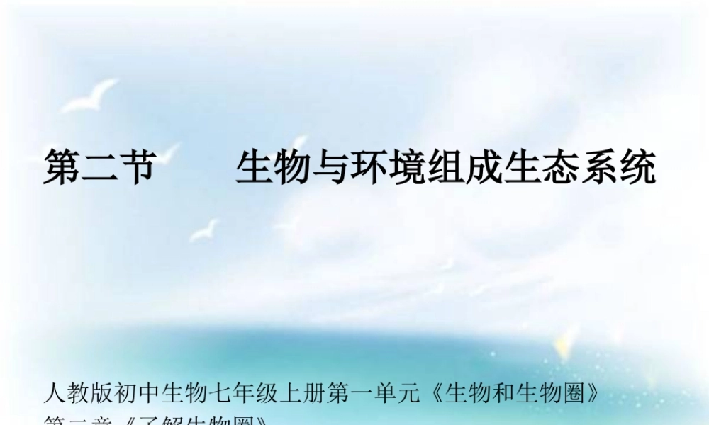 《生物与环境组成生态系统》教学课件1