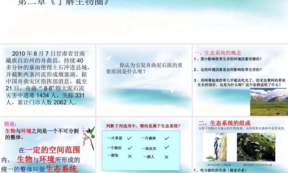 《生物与环境组成生态系统》教学课件1