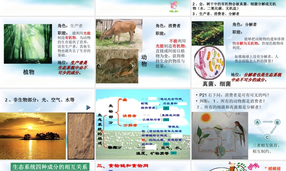 《生物与环境组成生态系统》教学课件1