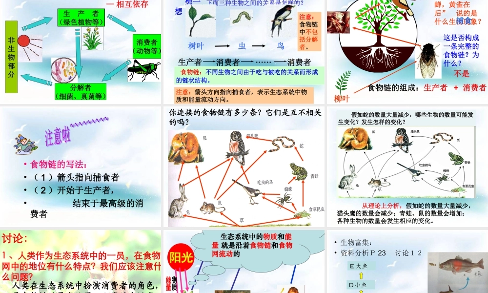 《生物与环境组成生态系统》教学课件1