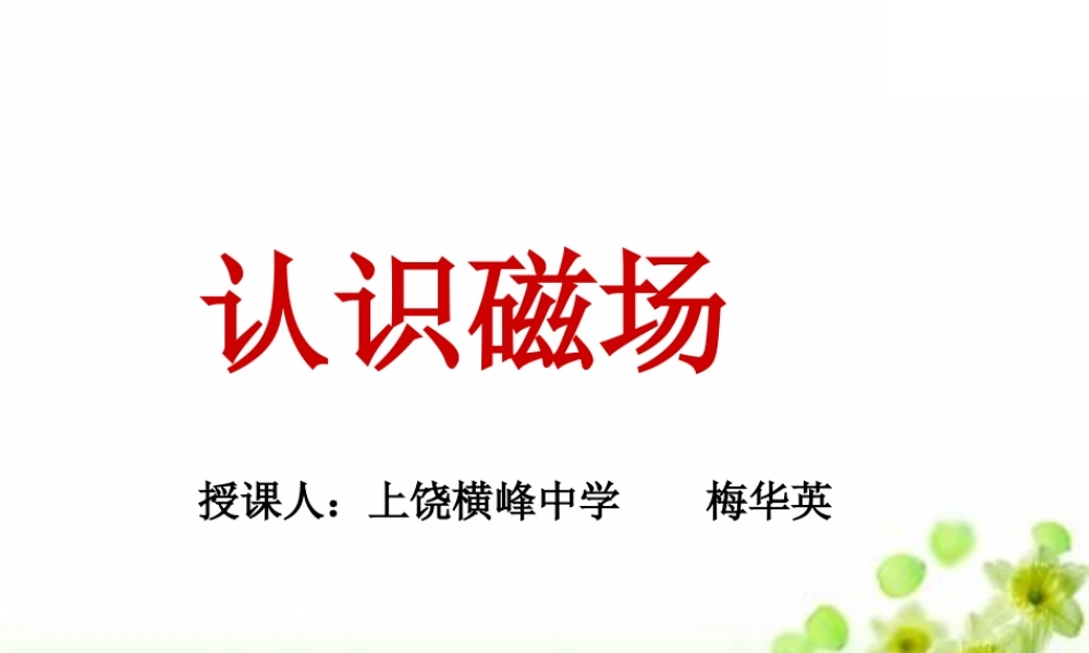第02节认识磁场-(2)
