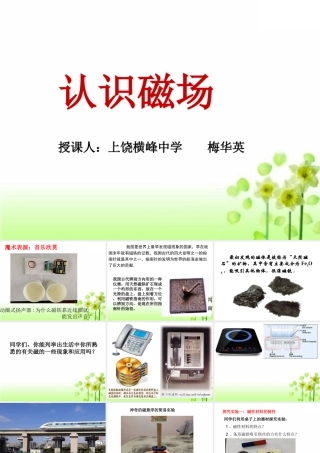 第02节认识磁场-(2)