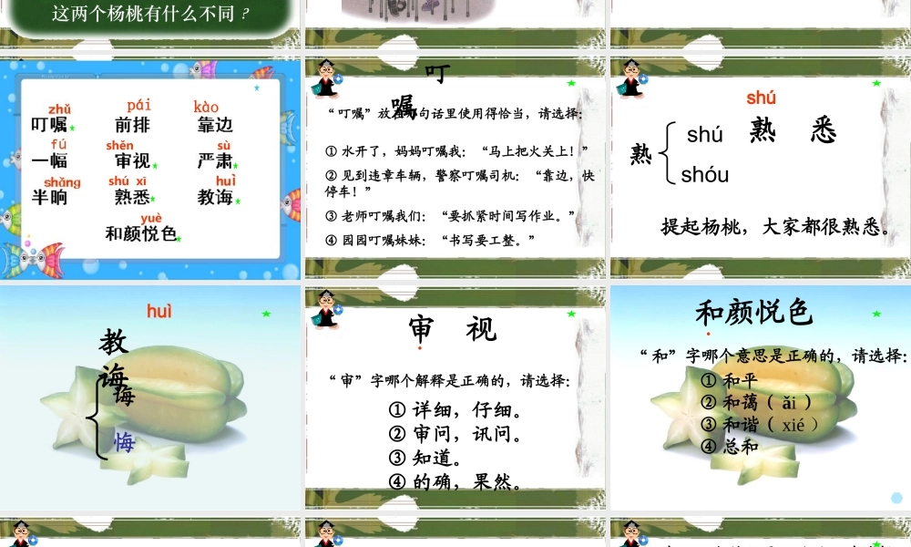 第11课《画杨桃》
