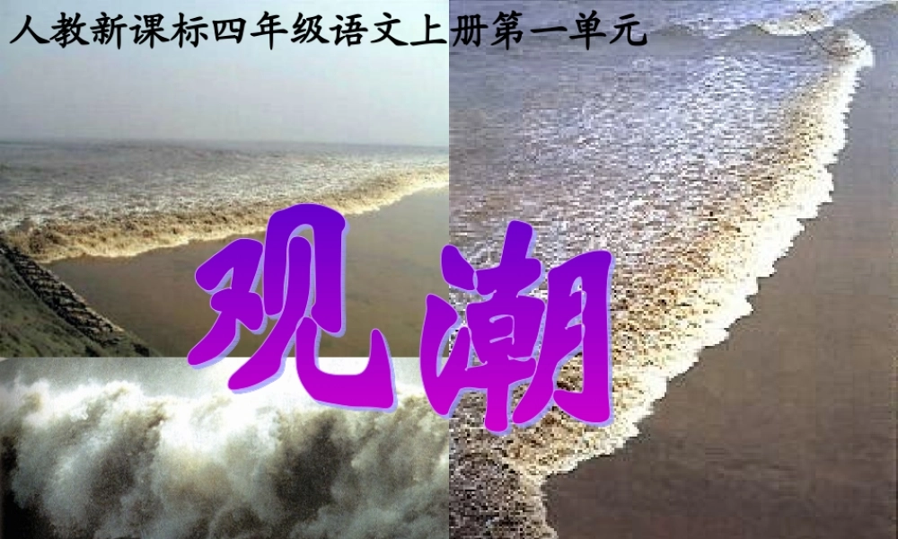 (人教新课标版)四年级语文上册课件-观潮-3