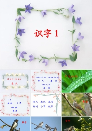 人教版一年级语文下册《识字1》课件PPT