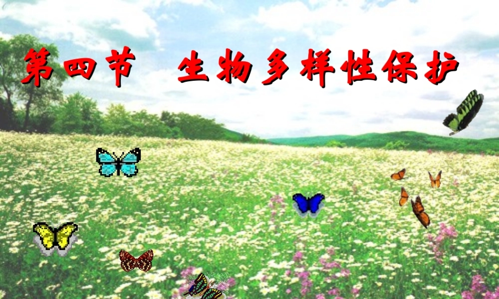 第四节生物多样性保护-(4)