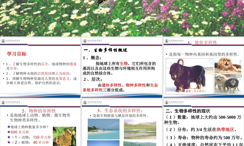 第四节生物多样性保护-(4)