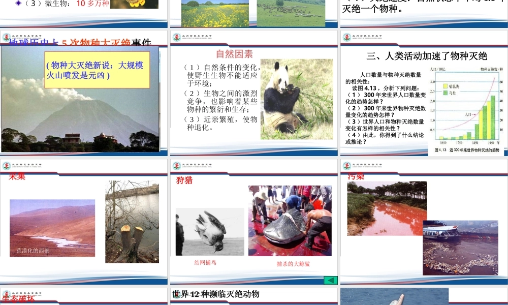 第四节生物多样性保护-(4)